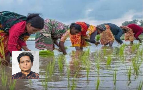 সমান কাজের সমান মজুরি: ন্যায়বিচার ন্যায্যদাবি
