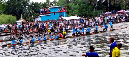 বৃষ্টি উপেক্ষা করে নৌকা বাইচ দেখতে চিত্রা নদীতে মানুষের ঢল