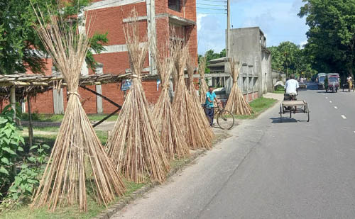 পাইকগাছায় পাটের চেয়ে পাটকাঠির চাহিদা বেশি