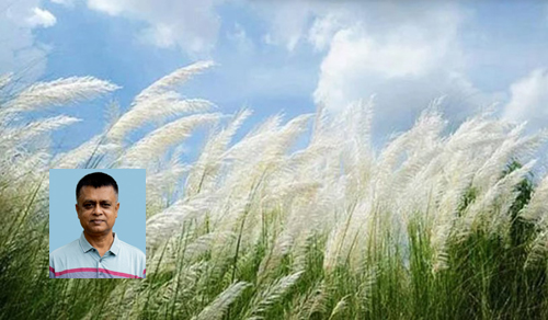 দুয়ারে দাঁড়িয়ে আশ্বিন/ সচ্চিদানন্দ দে সদয়