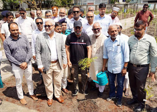 পরিবেশ রক্ষায় দেশে ২৫ কোটি গাছ লাগানোর পরিকল্পনা