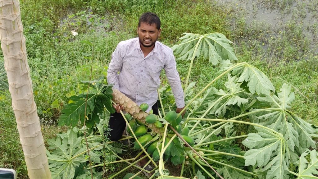 সাতক্ষীরায় সরকারি নির্দেশ অমান্য করে ঘের লুটপাট ও অগ্নিসংযোগ