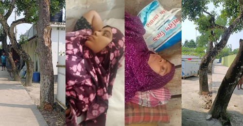 শ্যামনগরে গাছ কাটতে বাধা পেয়ে মা-মেয়েকে পিটিয়ে জখম