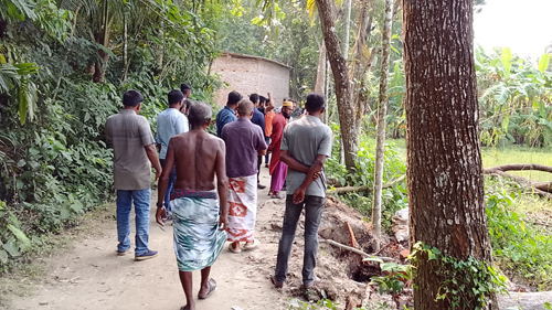 তালায় রাস্তার জায়গায় পড়েছে মেহগনি গাছ, সরেজমিনে মাপজরিপ
