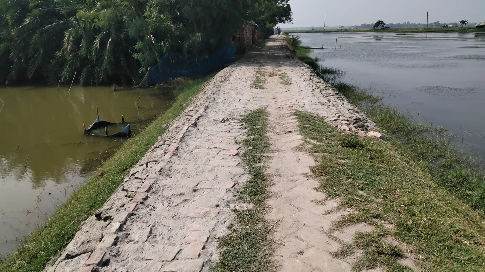 আশাশুনিতে ইটের রাস্তা সংস্কারে ব্যাপক অনিয়মের অভিযোগ