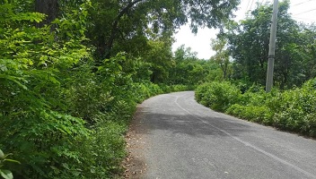 পাটকেলঘাটা-কলারোয়া সড়কের দুপাশে ঝোপঝাড়: পথচারীদের নিরাপত্তা নিয়ে উদ্বেগ