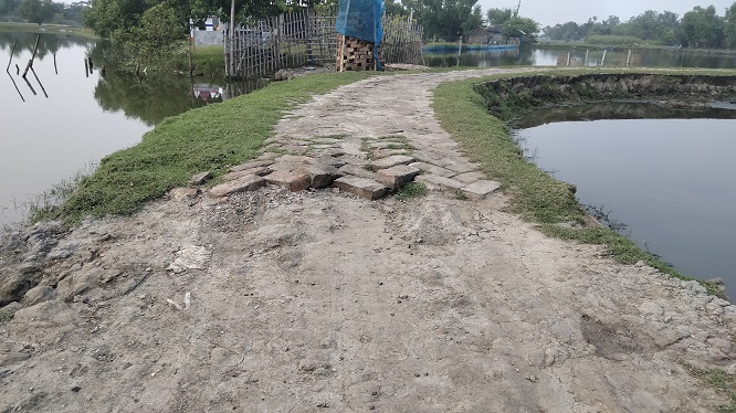 আশাশুনিতে রাস্তার ইট তুলে আত্মসাৎ ও কাবিটার কাজে ব্যবহারের অভিযোগ