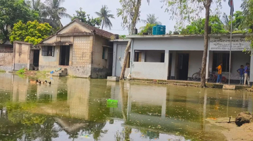 কলারোয়ায় পানিতে নিমজ্জিত মানিকনগর প্রাথমিক বিদ্যালয়: জলাবদ্ধতার ভোগান্তিতে শিক্ষার্থীরা