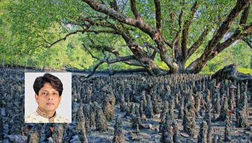আন্তর্জাতিক ভূ-বৈচিত্র্য দিবস: আমাদের দোরগোড়ায় ভূ-প্রকৃতির বিস্ময়