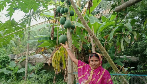 আন্তর্জাতিক গ্রামীণ নারী দিবস: স্বীকৃতি, সমতা ও টেকসই উন্নয়নে নারীর অগ্রযাত্রা