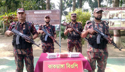 কলারোয়া সীমান্তে বিজিবির অভিযানে ভারতীয় মালামাল আটক