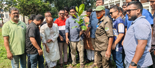 সবুজে সাজবে কলারোয়া, ৪০০ কাঠবাদাম গাছের চারা রোপণের উদ্যোগ তরুণ প্রকৌশলী চয়নের
