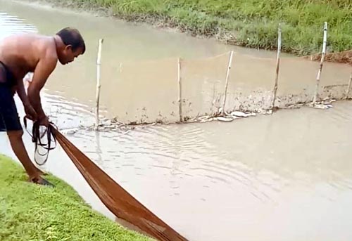 গ্রামবাংলার খাল-বিলে মাছ ধরার চিরচেনা দৃশ্য