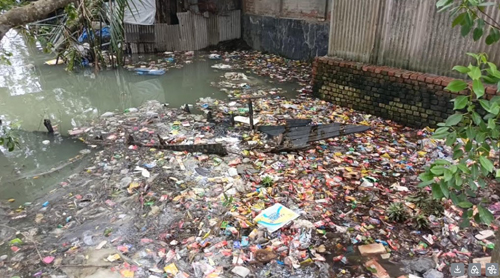 সুন্দরবন সংলগ্ন নদীতে প্লাস্টিক বর্জ্য, হুমকিতে পরিবেশ ও সুন্দরবন