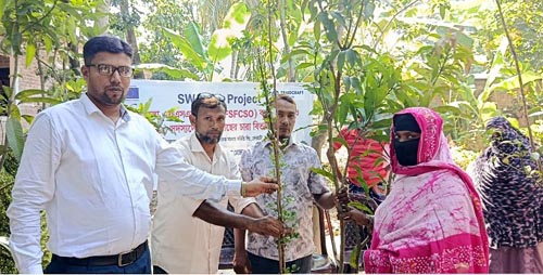 দেবহাটায় ৯০০ এলএফও সদস্যের মাঝে গাছের চারা বিতরণ