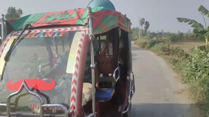 শেখ হাসিনার দেশে ফেরা নিয়ে মাইকিং করায় দুইজন গ্রেফতার