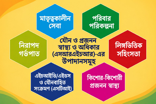 প্রজনন স্বাস্থ্য ও অধিকার: বাংলাদেশের অসমাপ্ত অঙ্গীকার